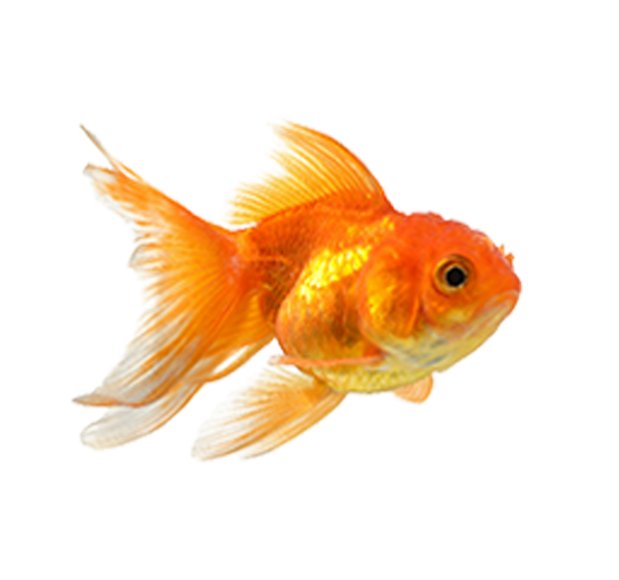 Pty-Contact-carousel-Image-box-2