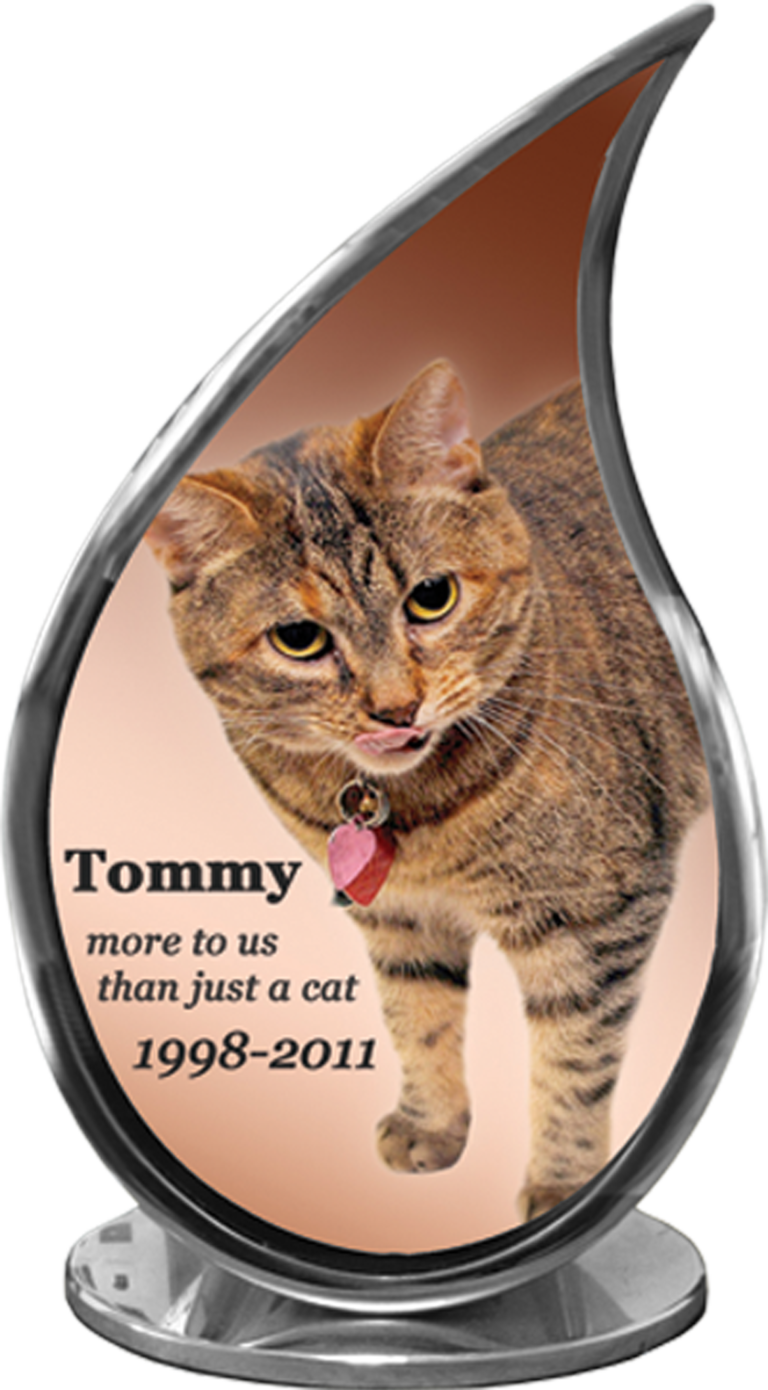 Tommy pet urn